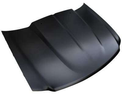 97-03 F-150 COWL INDUCTION HOOD